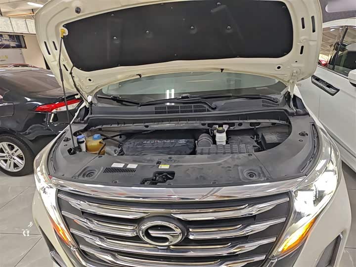 Trumpchi M8 2020 390 T — фото 16