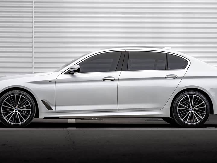 BMW 5-Series 2020 530 Li Leading M — фото 2