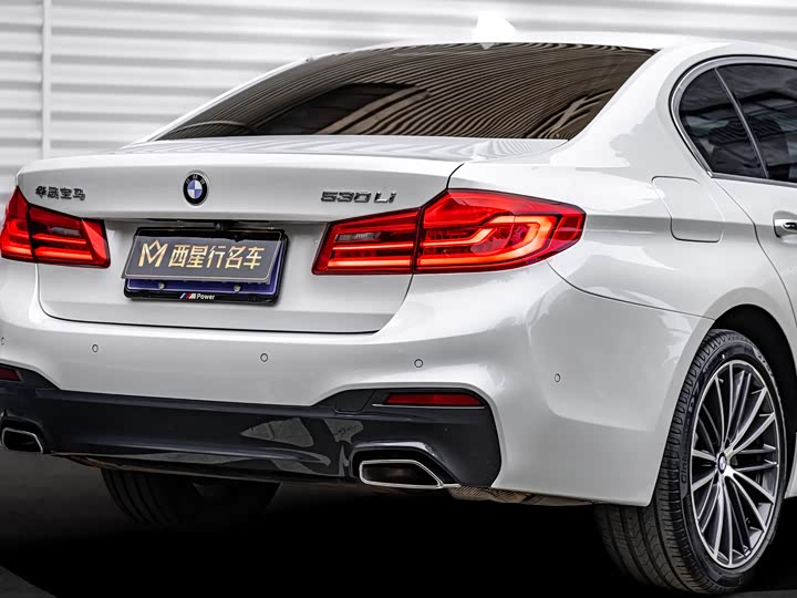 BMW 5-Series 2020 530 Li Leading M — фото 5