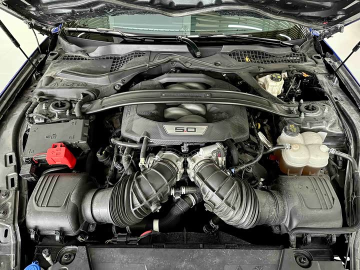Ford Mustang 2024 5.0 L V 8 Dark Horse — фото 14