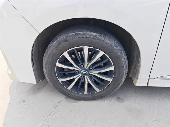 Trumpchi M8 2023 390 T — фото 23