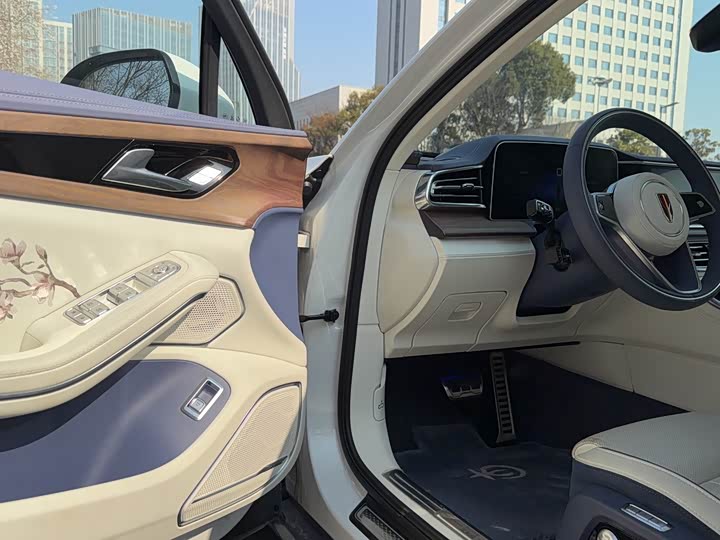 Hongqi H9 2022 3.0 T H 9+ — фото 15