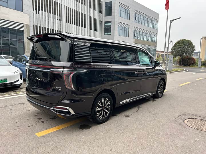 Hongqi HQ9 PHEV 2024 2.0 T 4 WD — фото 4