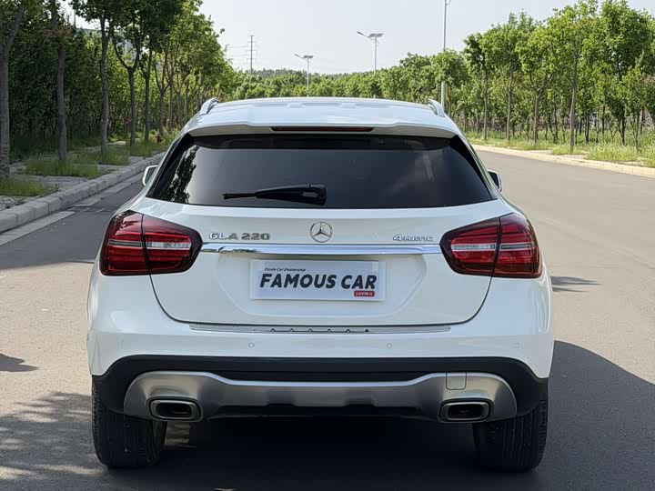 Mercedes-Benz GLA 2017 GLA 220 4 MATIC Luxury — фото 5