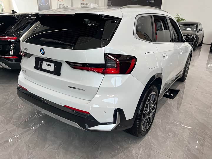 BMW X1 sDrive25Li X — фото 15