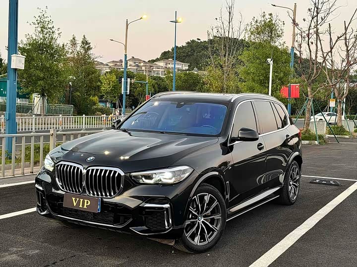 BMW X 5 2022 x Drive 30 Li M