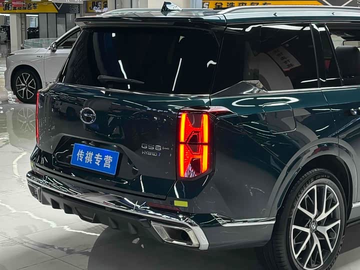 Trumpchi GS8 2024 2.0 TM 4 WD — фото 7