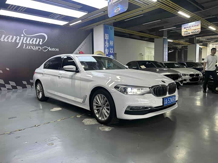 BMW 5-Series 2019 530 Li x Drive — фото 2