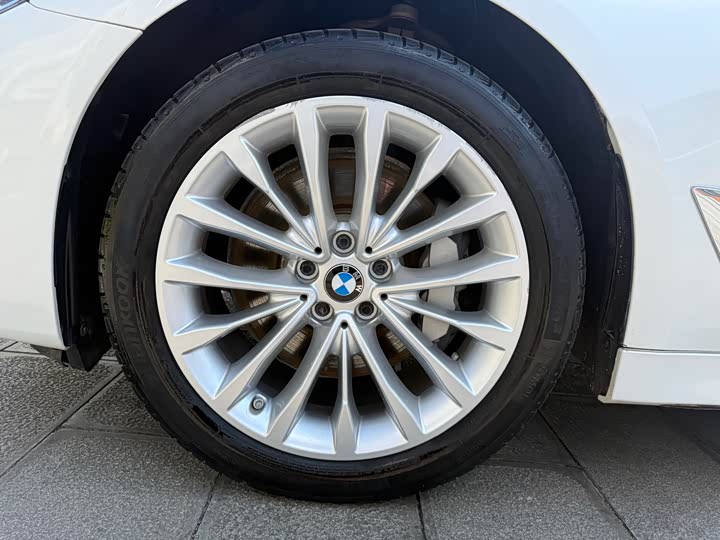 BMW 5-Series 2019 530 Li Leading — фото 14