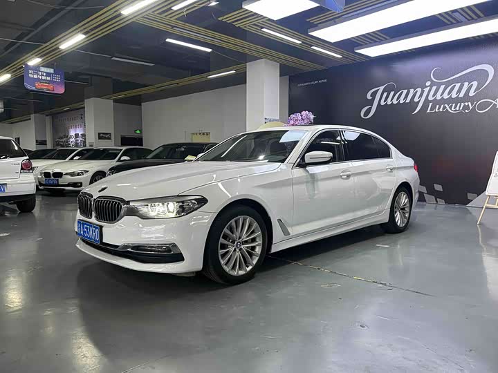 BMW 5-Series 2019 530 Li x Drive — фото 1