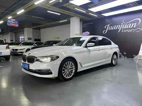 BMW 5-Series 2019 530 Li x Drive — фото 14