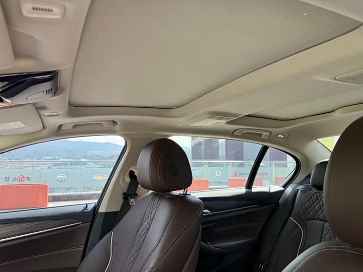 BMW 5-Series 2019 530 Li Leading — фото 28