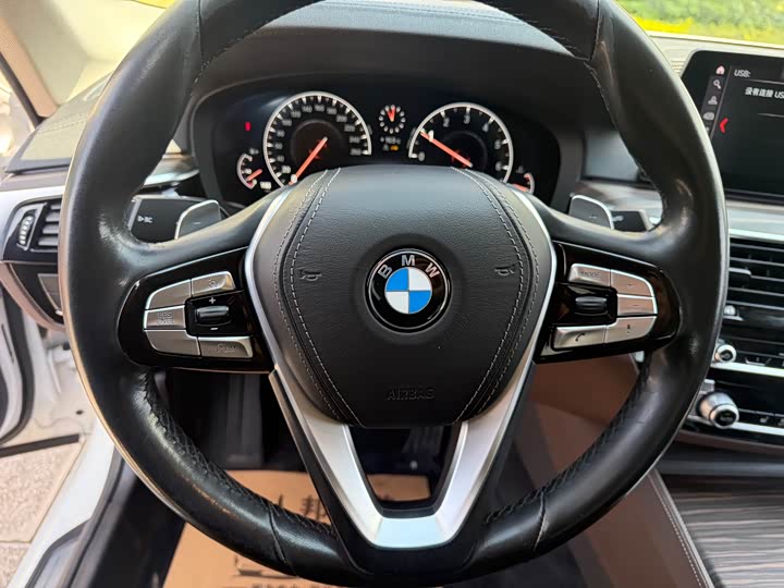 BMW 5-Series 2019 530 Li Leading — фото 22