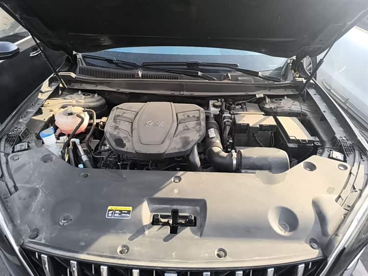 Hongqi HS5 2023 2.0 T 4 WD Pro — фото 20
