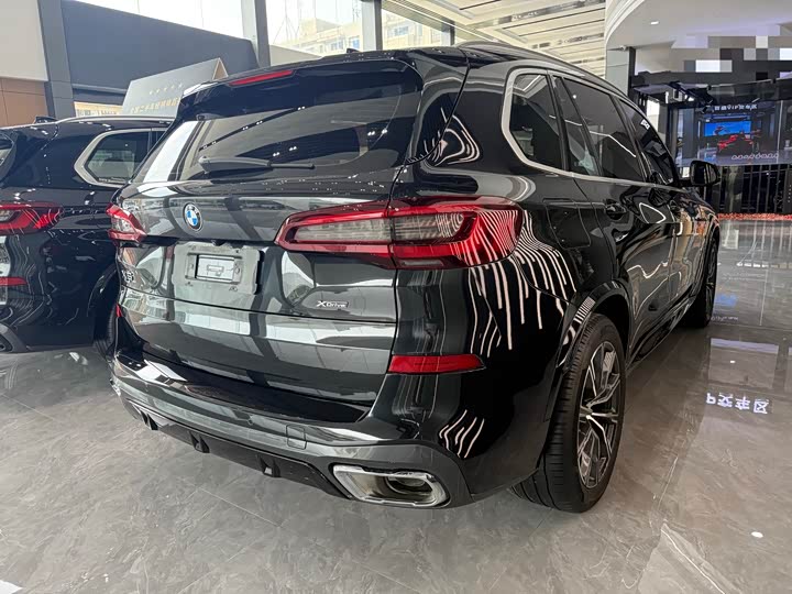 BMW X5 xDrive 30Li M спортпакет — фото 8