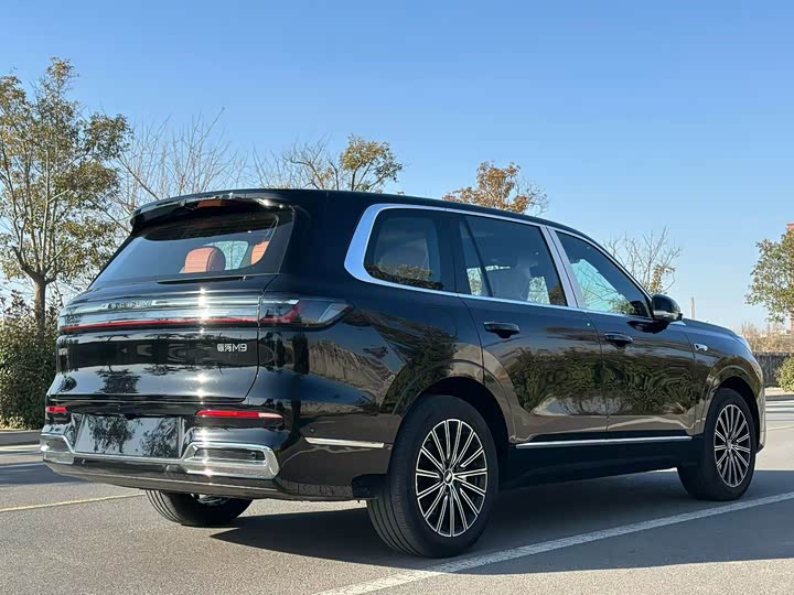 Geely Galaxy M 9 2025 230km 2 WD — фото 9