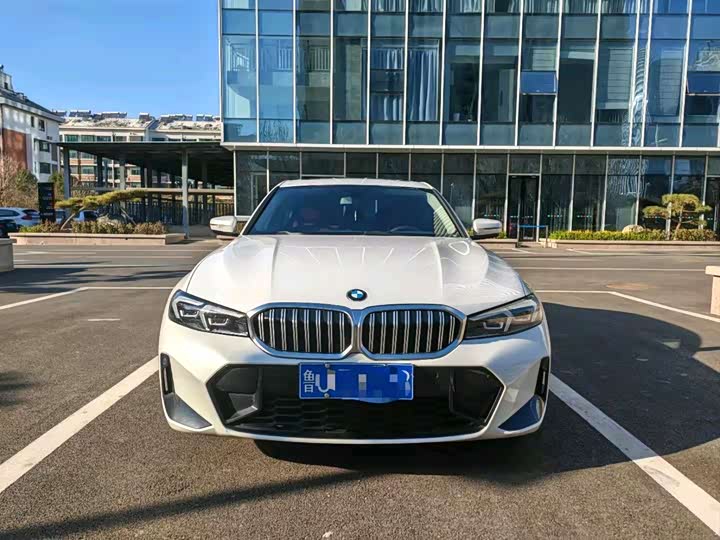 BMW 3 Series 320Li M спортпакет — фото 2