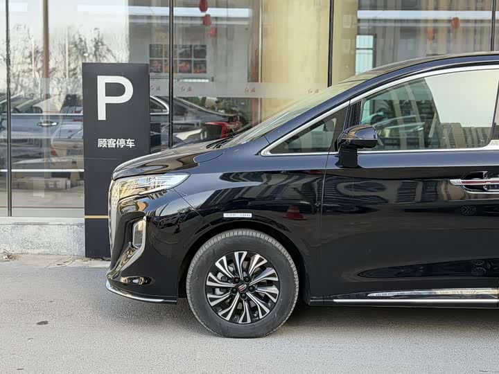 Hongqi HQ9 PHEV 2024 2.0 T 4 WD — фото 3