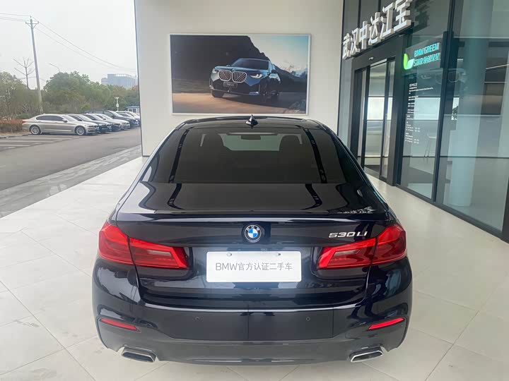 BMW 5-Series 2020 530 Li Leading M — фото 15