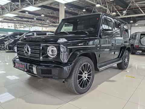 Mercedes-Benz G-Class 2019 G 500 — фото 33