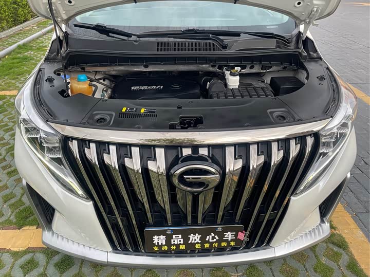 Trumpchi M8 2023 390 T — фото 21
