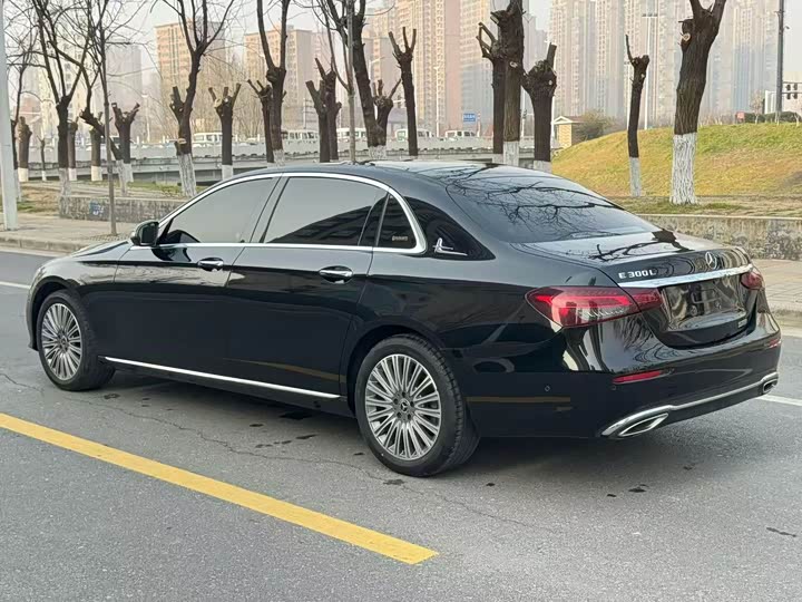 Mercedes-Benz E-Class 2021 E 300 L Luxury — фото 7