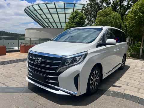 Trumpchi M8 2023 390 T — фото 17