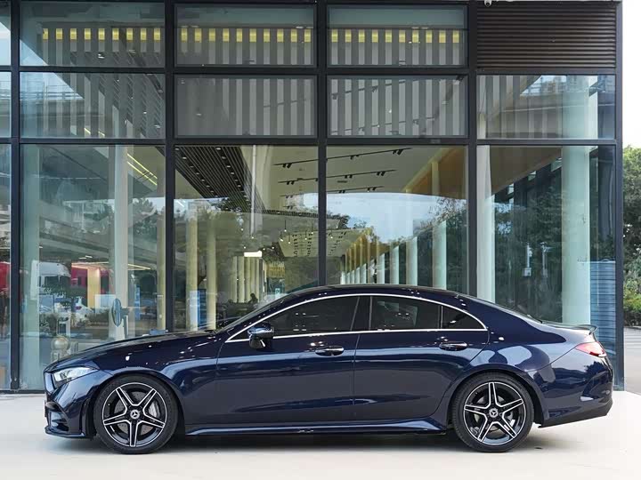 Mercedes-Benz CLS 2021 CLS 300 Luxury — фото 3