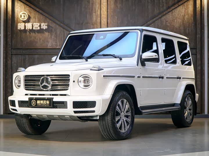 Mercedes-Benz G-Class 2024 G 350 — фото 1