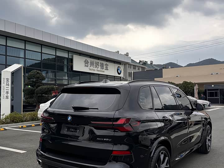 BMW X5 2025 x Drive 30 Li M — фото 12