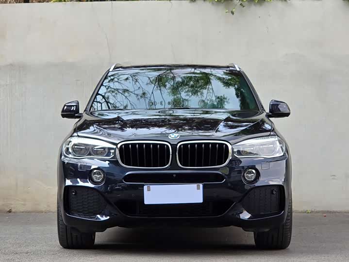 BMW X5 2017 x Drive 35i M Sport — фото 2
