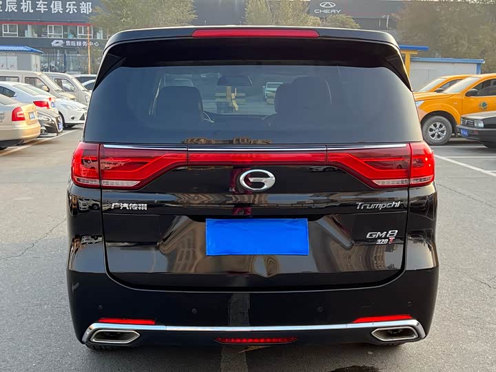 Trumpchi M8 2018 320 T — фото 8