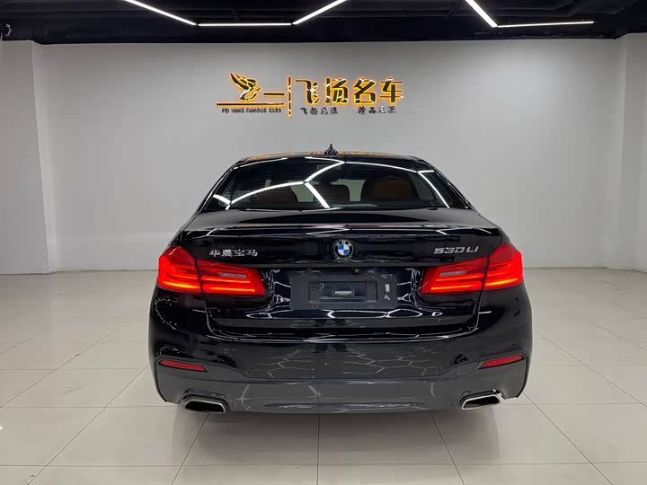 BMW 5-Series 2018 530 Li Leading M — фото 15