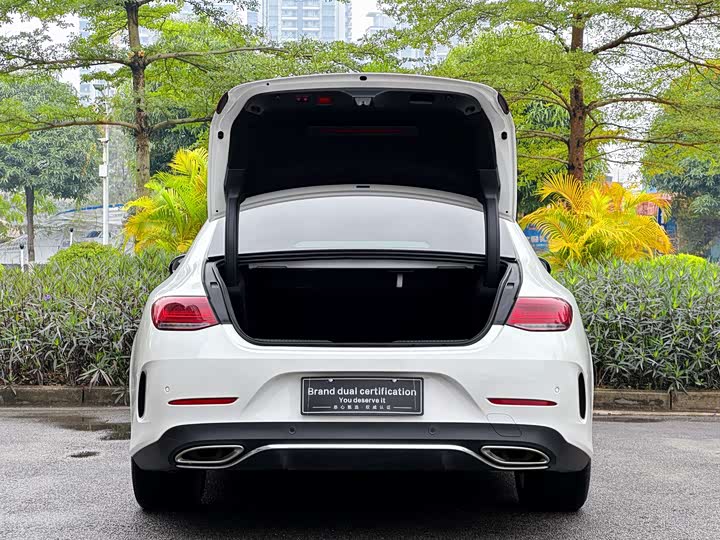 Mercedes-Benz CLS 2021 CLS 300 — фото 29