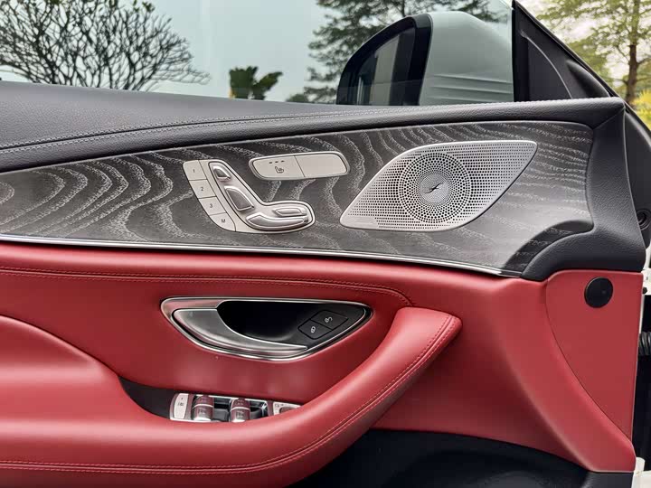 Mercedes-Benz CLS 2021 CLS 300 — фото 17