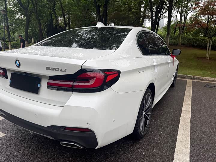 BMW 5-Series 2023 530 Li Leading M — фото 11