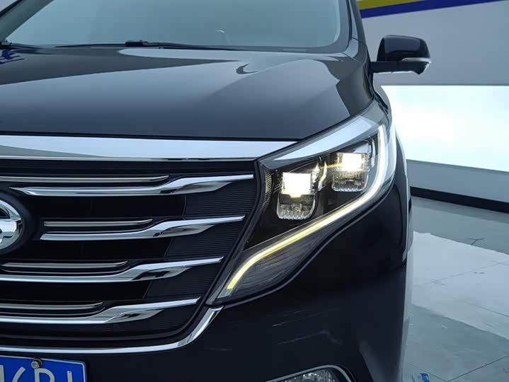 Trumpchi M8 2019 320 T — фото 5