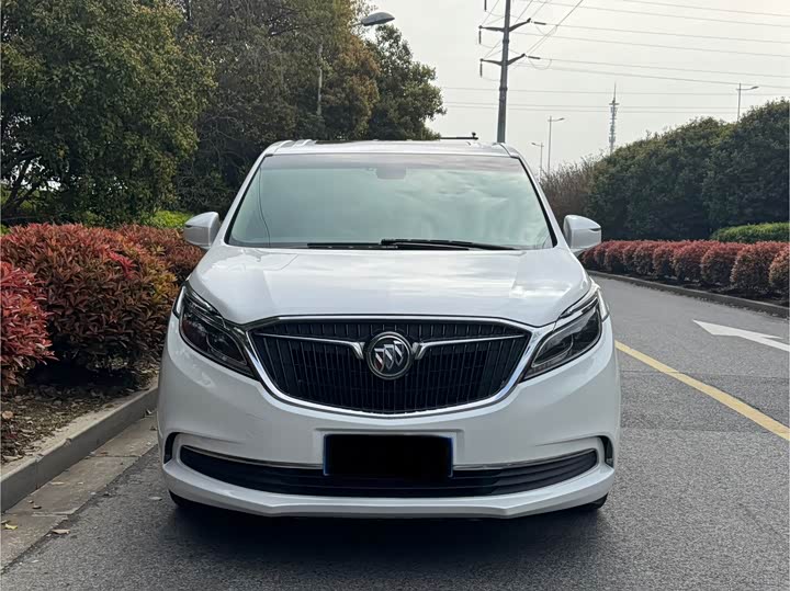 Buick GL8 2018 ES 28 T Luxury VI — фото 2