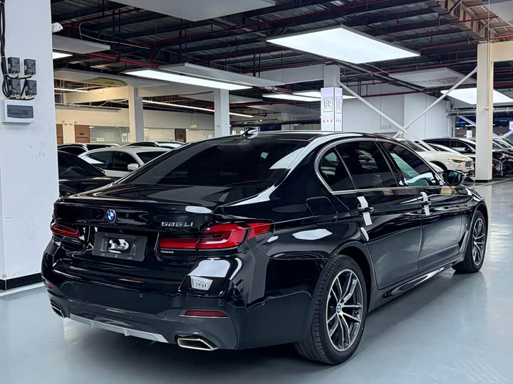 BMW 5 Series 525Li M спортпакет — фото 20