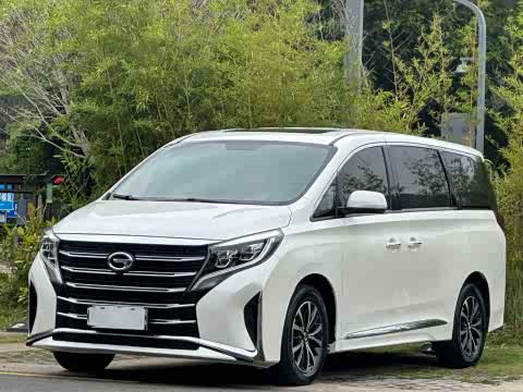 Trumpchi M8 2021 390 T — фото 16