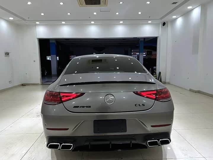 Mercedes-Benz CLS 2021 CLS 300 Luxury — фото 8