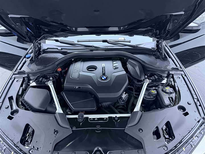 BMW 5-Series 2018 530 Li x Drive M — фото 18