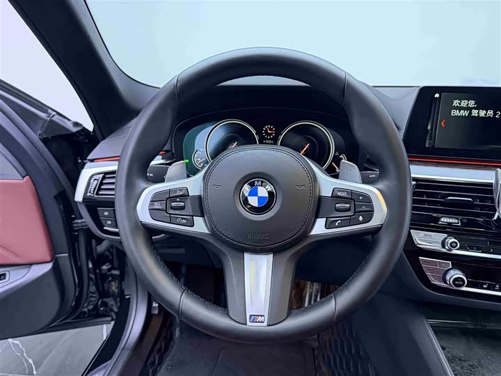BMW 5-Series 2018 530 Li x Drive M — фото 15