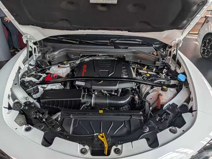 Alfa Romeo Stelvio 2023 2.0 T 280 HP Veloce — фото 12