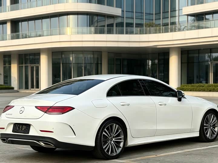 Mercedes-Benz CLS 2020 CLS 300 — фото 7