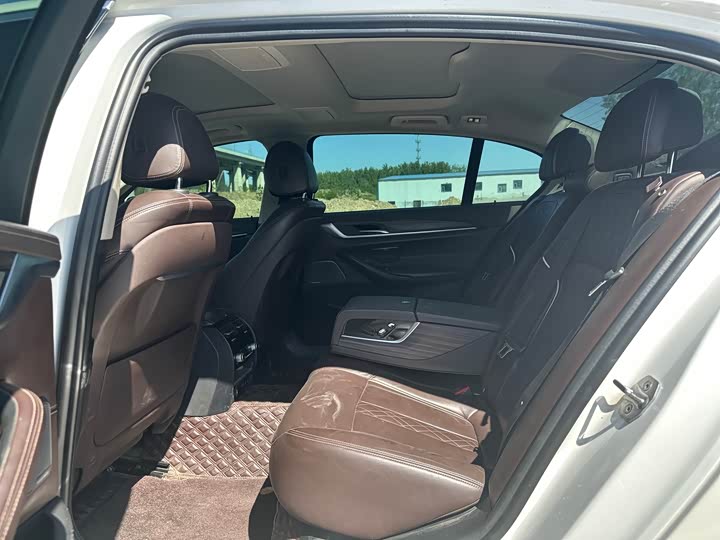 BMW 5-Series 2020 530 Li x Drive — фото 5