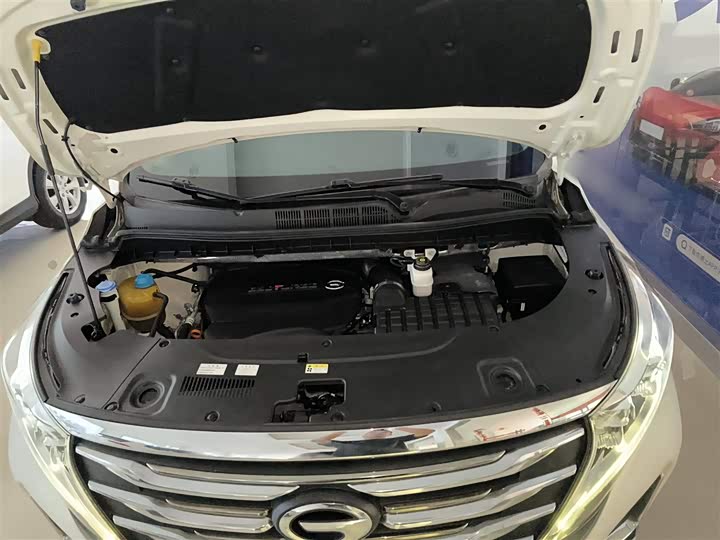 Trumpchi M8 2020 390 T — фото 20