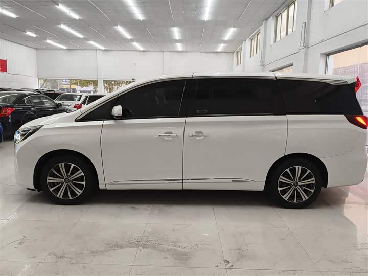 Trumpchi M8 2018 320 T — фото 5