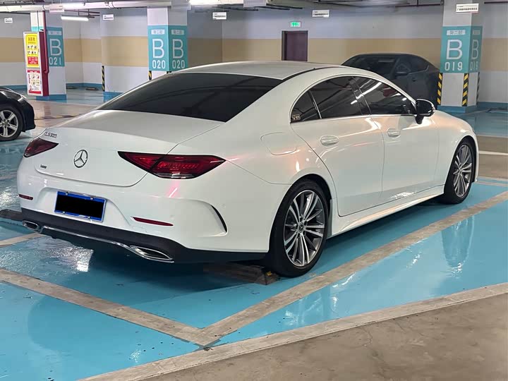 Mercedes-Benz CLS 2021 CLS 300 — фото 6