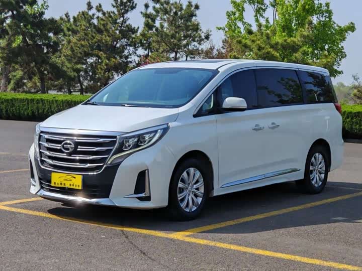 Trumpchi M8 2020 390 T
